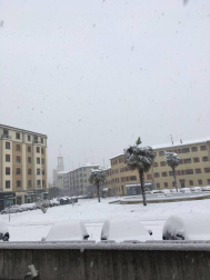Estampas de todos los rincones de Navarra bajo el manto blanco caído el último día de febrero.