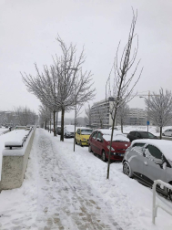 Estampas de todos los rincones de Navarra bajo el manto blanco caído el último día de febrero.