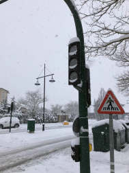 Estampas de todos los rincones de Navarra bajo el manto blanco caído el último día de febrero.
