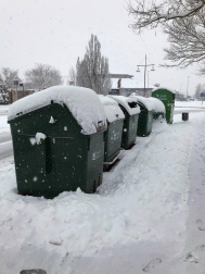 Estampas de todos los rincones de Navarra bajo el manto blanco caído el último día de febrero.