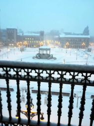 Estampas de todos los rincones de Navarra bajo el manto blanco caído el último día de febrero.