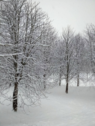 Estampas de todos los rincones de Navarra bajo el manto blanco caído el último día de febrero.