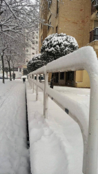 Estampas de todos los rincones de Navarra bajo el manto blanco caído el último día de febrero.