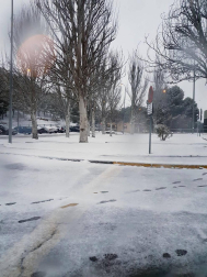 Estampas de todos los rincones de Navarra bajo el manto blanco caído el último día de febrero.