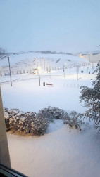 Estampas de todos los rincones de Navarra bajo el manto blanco caído el último día de febrero.