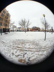 Estampas de todos los rincones de Navarra bajo el manto blanco caído el último día de febrero.