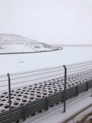 Estampas de todos los rincones de Navarra bajo el manto blanco caído el último día de febrero.