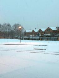 Estampas de todos los rincones de Navarra bajo el manto blanco caído el último día de febrero.