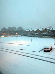 Estampas de todos los rincones de Navarra bajo el manto blanco caído el último día de febrero.