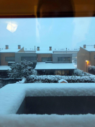 Estampas de todos los rincones de Navarra bajo el manto blanco caído el último día de febrero.