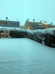 Estampas de todos los rincones de Navarra bajo el manto blanco caído el último día de febrero.