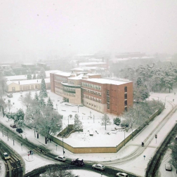 Estampas de todos los rincones de Navarra bajo el manto blanco caído el último día de febrero.
