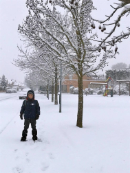 Estampas de todos los rincones de Navarra bajo el manto blanco caído el último día de febrero.