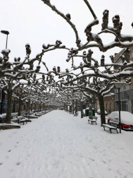 Estampas de todos los rincones de Navarra bajo el manto blanco caído el último día de febrero.