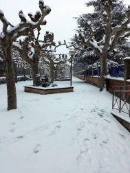 Estampas de todos los rincones de Navarra bajo el manto blanco caído el último día de febrero.