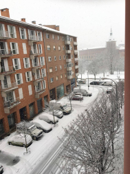 Estampas de todos los rincones de Navarra bajo el manto blanco caído el último día de febrero.
