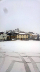 Estampas de todos los rincones de Navarra bajo el manto blanco caído el último día de febrero.