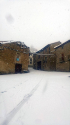 Estampas de todos los rincones de Navarra bajo el manto blanco caído el último día de febrero.