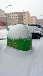 Estampas de todos los rincones de Navarra bajo el manto blanco caído el último día de febrero.