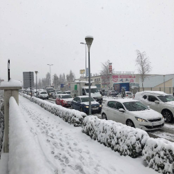 Estampas de todos los rincones de Navarra bajo el manto blanco caído el último día de febrero.