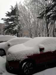 Estampas de todos los rincones de Navarra bajo el manto blanco caído el último día de febrero.