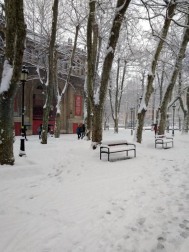 Estampas de todos los rincones de Navarra bajo el manto blanco caído el último día de febrero.