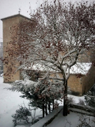 Estampas de todos los rincones de Navarra bajo el manto blanco caído el último día de febrero.
