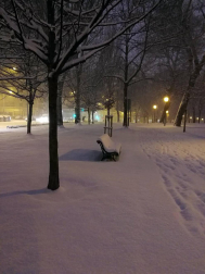 Estampas de todos los rincones de Navarra bajo el manto blanco caído el último día de febrero.