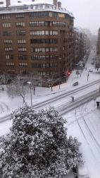 Estampas de todos los rincones de Navarra bajo el manto blanco caído el último día de febrero.