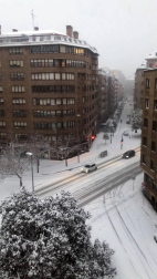 Estampas de todos los rincones de Navarra bajo el manto blanco caído el último día de febrero.