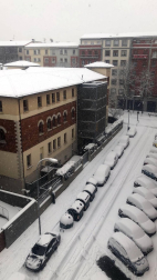 Estampas de todos los rincones de Navarra bajo el manto blanco caído el último día de febrero.