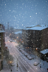 Estampas de todos los rincones de Navarra bajo el manto blanco caído el último día de febrero.
