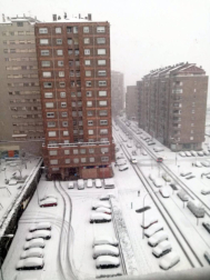 Estampas de todos los rincones de Navarra bajo el manto blanco caído el último día de febrero.