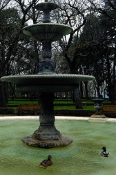 La primavera llegó el pasado martes a las 17.15 horas. La Taconera pamplonesa fue el lugar escogido para 'esperar' a la estación de la luz.