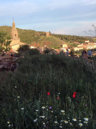 Envíanos la imagen por Whatsapp al número 687 04 00 98, indicando el lugar en el que están realizadas y el autor de las fotografías.