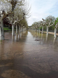La recta de Arguedas con agua del barranco de Las Limas, cortes en la NA-134 y agua en las Bardenas tras las lluvias del 12 de abril.