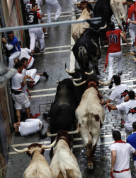 Imágenes del primer encierro de los sanfermines 2018 protagonizado por toros de Puerto de San Lorenzo.