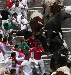 Imágenes del primer encierro de los sanfermines 2018 protagonizado por toros de Puerto de San Lorenzo.