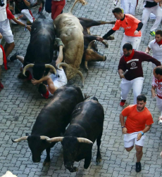 Imágenes del quinto encierro de los sanfermines, con toros de la ganadería Núñez del Cuvillo
