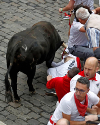 Imágenes del séptimo encierro de los Sanfermines de 2018, con toros de la ganadería Jandilla.