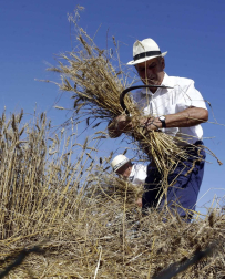 El Día del Mundo Rural en Miranda de Arga es una celebración que rinde homenaje a los oficios que hace medio siglo suponían la forma de vida de las gentes de la localidad.