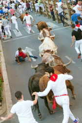 Fotos del encierro del cuarto día de las fiestas de Tudela, homenajes y pasacalles. 27 de julio de 2018