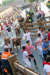 Fotos del encierro del cuarto día de las fiestas de Tudela, homenajes y pasacalles. 27 de julio de 2018