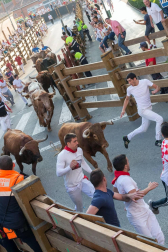 Fotos del encierro del cuarto día de las fiestas de Tudela, homenajes y pasacalles. 27 de julio de 2018