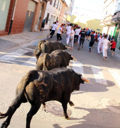 Almuerzo de jubilados, encierros y desfile en el Día Grande de las Fiestas de Lodosa