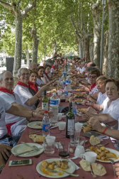 Imágenes de las Fiestas de Estella que comprenden: la verbena de plaza de los Fueros, homenaje a los mayores, bombada, Gorgorito, comidas de Quintos en el paseo de los Llanos, baile de la era y popurri estellés.