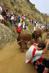 Las vacas de la ganadería Manolo Merino, de Marcilla, han protagonizado un encierro muy rápido y limpio.