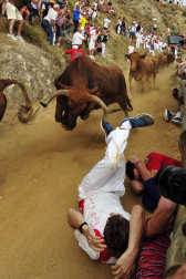Las vacas de la ganadería Manolo Merino, de Marcilla, han protagonizado un encierro muy rápido y limpio.