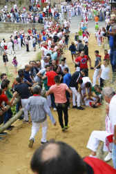 La ganadería Hípica Zahorí ha protagonizado un emocionante tercer encierro del Pilón en las fiestas de Falces, 2018, este martes 14 de agosto.