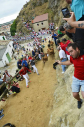 La ganadería Hípica Zahorí ha protagonizado un emocionante tercer encierro del Pilón en las fiestas de Falces, 2018, este martes 14 de agosto.